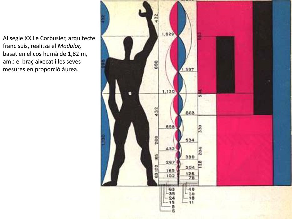 Al segle XX Le Corbusier, arquitecte franc suís, realitza el Modulor, basat en el cos humà de 1,82 m, amb el braç aixecat i les seves mesures en proporció àurea.