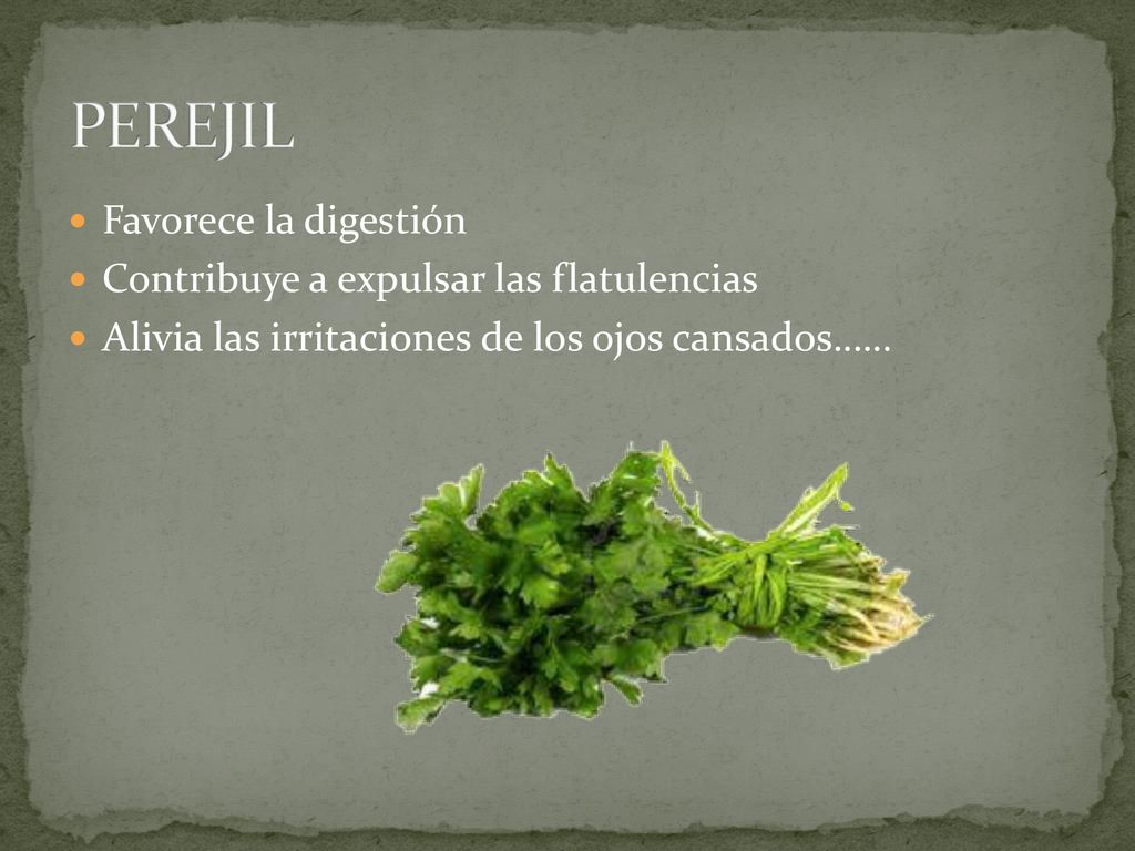 PEREJIL Favorece la digestión Contribuye a expulsar las flatulencias