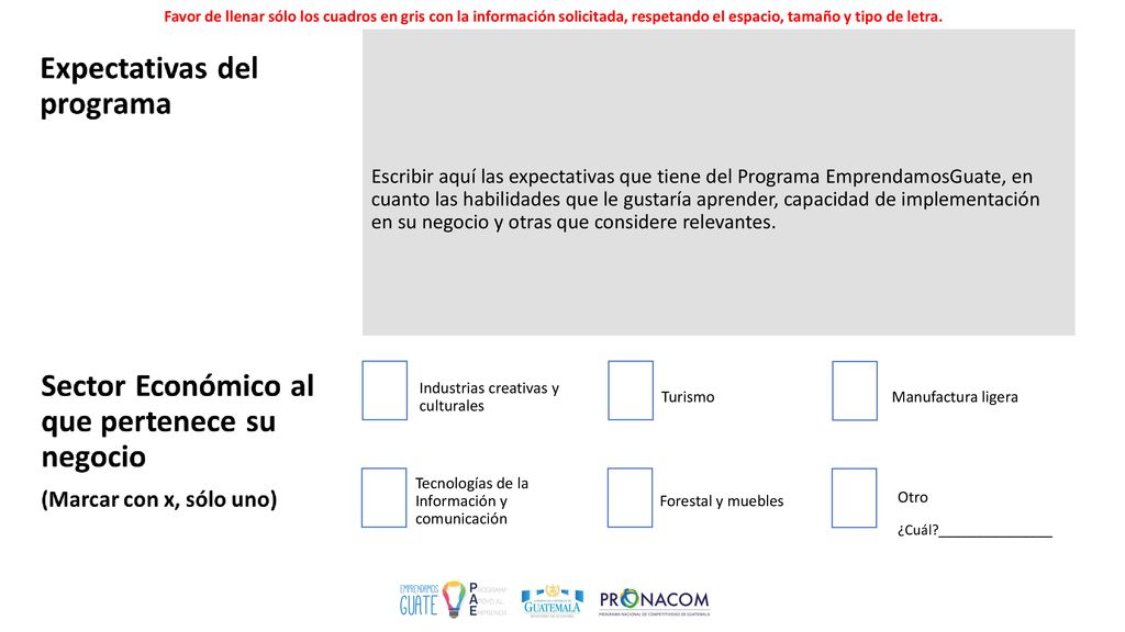 Favor de llenar sólo los cuadros en gris con la información solicitada, respetando el espacio, tamaño y tipo de letra.