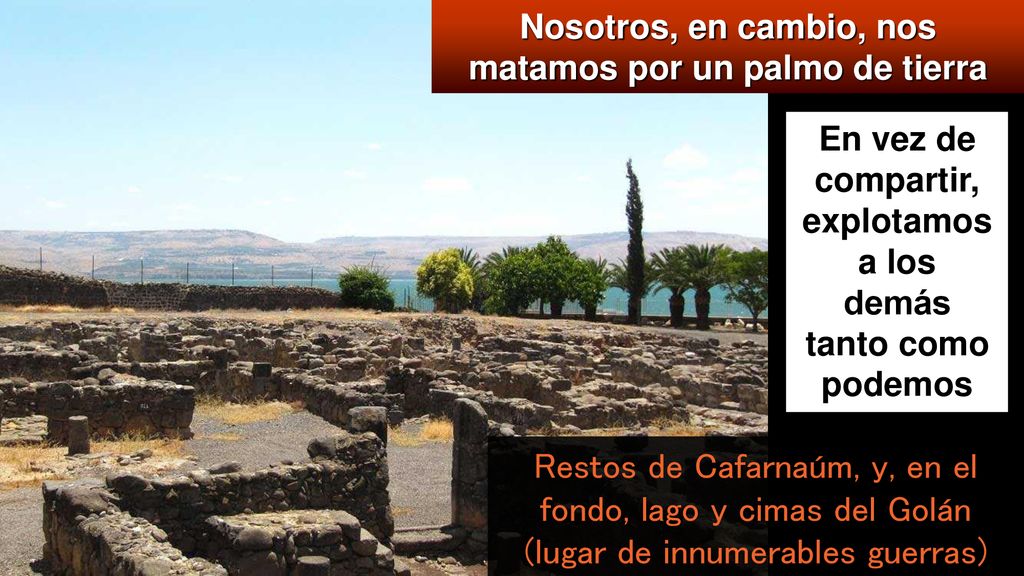Nosotros, en cambio, nos matamos por un palmo de tierra