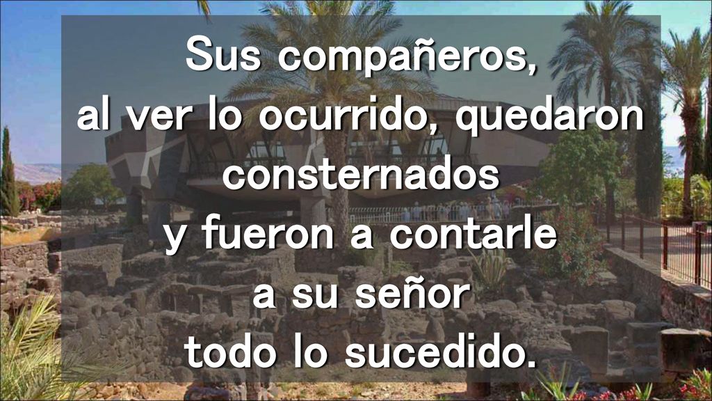 Sus compañeros, al ver lo ocurrido, quedaron consternados y fueron a contarle a su señor todo lo sucedido.