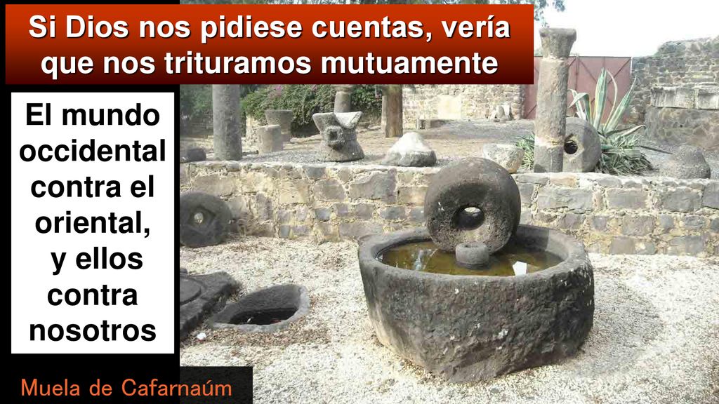 Si Dios nos pidiese cuentas, vería que nos trituramos mutuamente