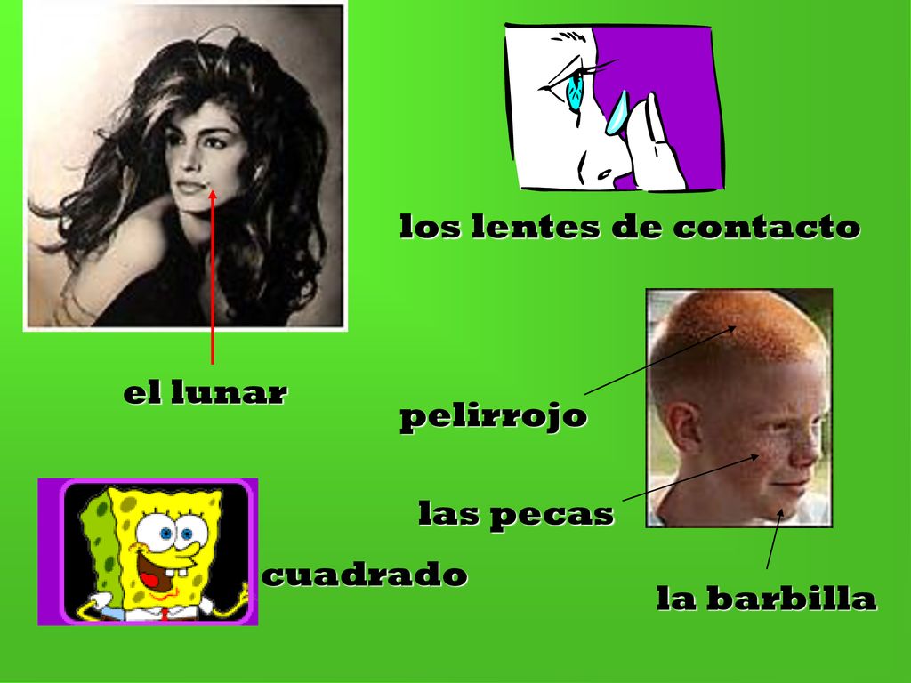 los lentes de contacto el lunar pelirrojo las pecas cuadrado la barbilla