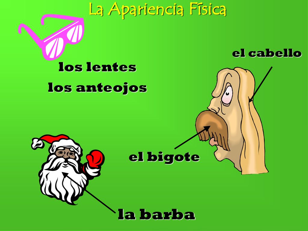 La Apariencia Física la barba los lentes los anteojos el bigote