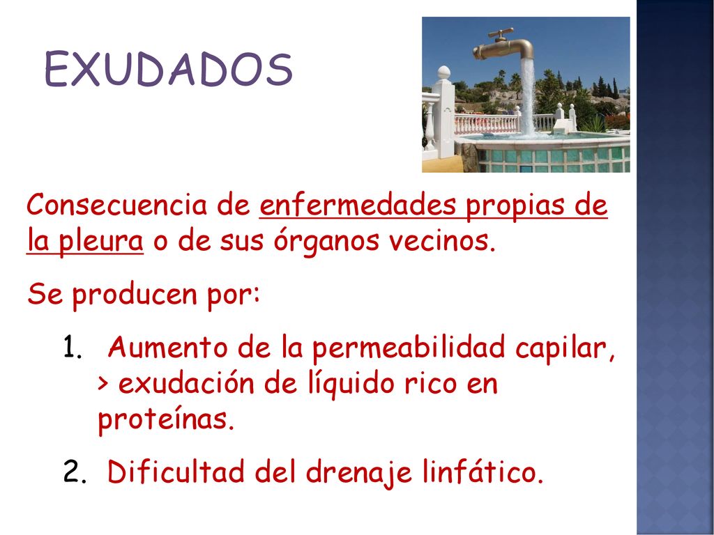 EXUDADOS Consecuencia de enfermedades propias de la pleura o de sus órganos vecinos. Se producen por: