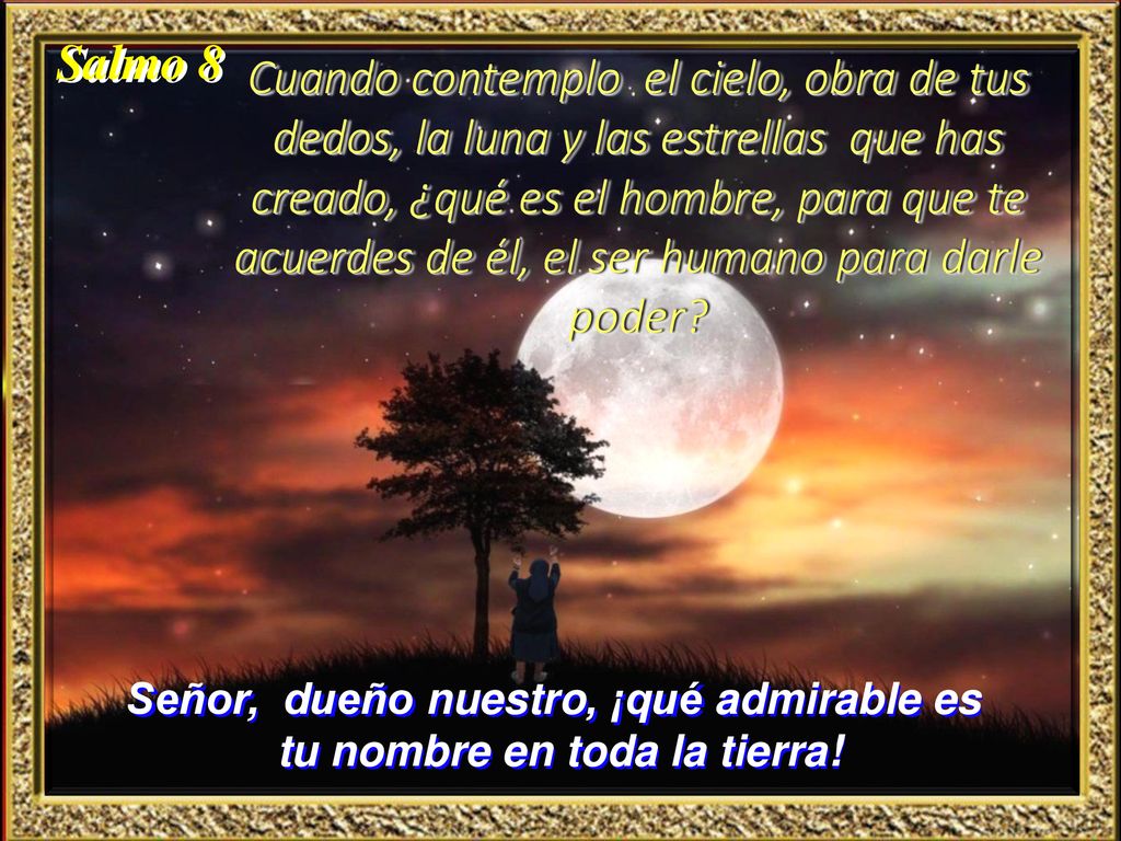 Señor, dueño nuestro, ¡qué admirable es tu nombre en toda la tierra!