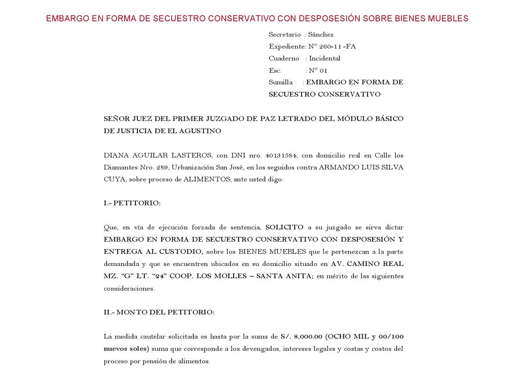 EMBARGO EN FORMA DE SECUESTRO CONSERVATIVO CON DESPOSESIÓN SOBRE BIENES MUEBLES