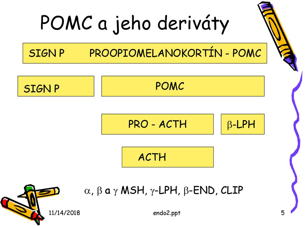POMC a jeho deriváty SIGN P PROOPIOMELANOKORTÍN - POMC POMC SIGN P