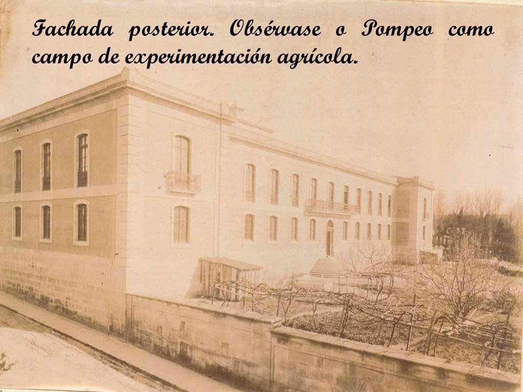 Fachada posterior. Obsérvase o Pompeo como campo de experimentación agrícola.