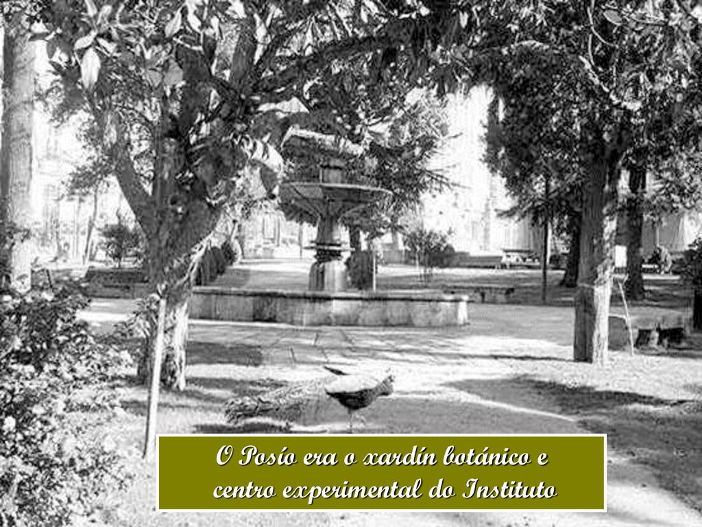 O Posío era o xardín botánico e centro experimental do Instituto