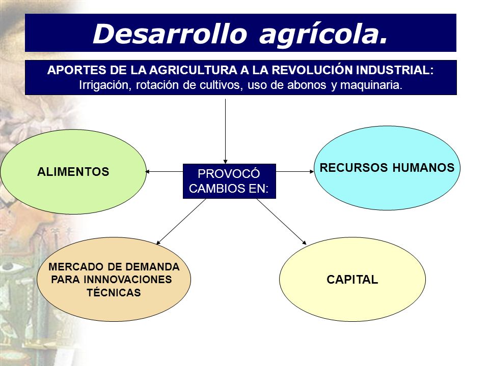 Desarrollo agrícola. APORTES DE LA AGRICULTURA A LA REVOLUCIÓN INDUSTRIAL: Irrigación, rotación de cultivos, uso de abonos y maquinaria.