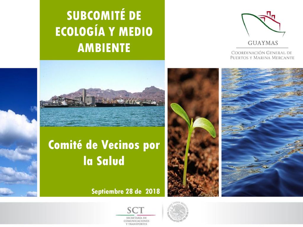 SUBCOMITÉ DE ECOLOGÍA Y MEDIO AMBIENTE Comité de Vecinos por la Salud