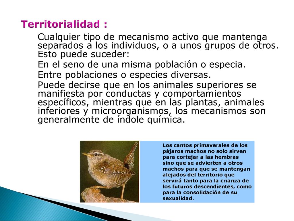 Territorialidad : En el seno de una misma población o especia.