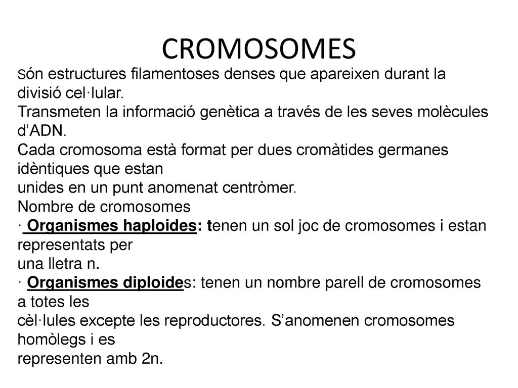 CROMOSOMES Són estructures filamentoses denses que apareixen durant la divisió cel·lular.