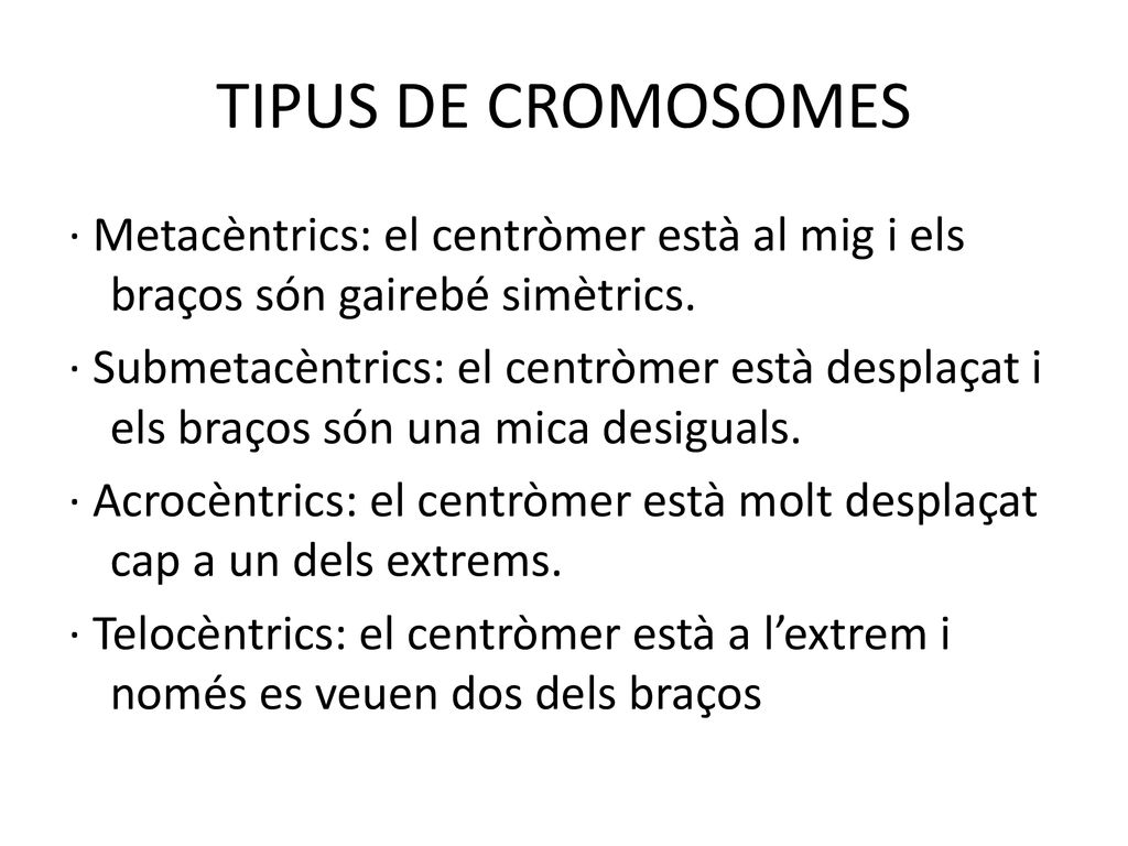 TIPUS DE CROMOSOMES · Metacèntrics: el centròmer està al mig i els braços són gairebé simètrics.