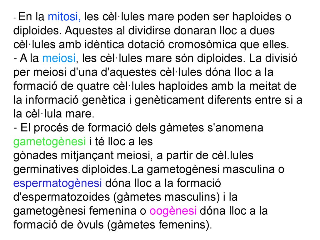 - En la mitosi, les cèl·lules mare poden ser haploides o diploides