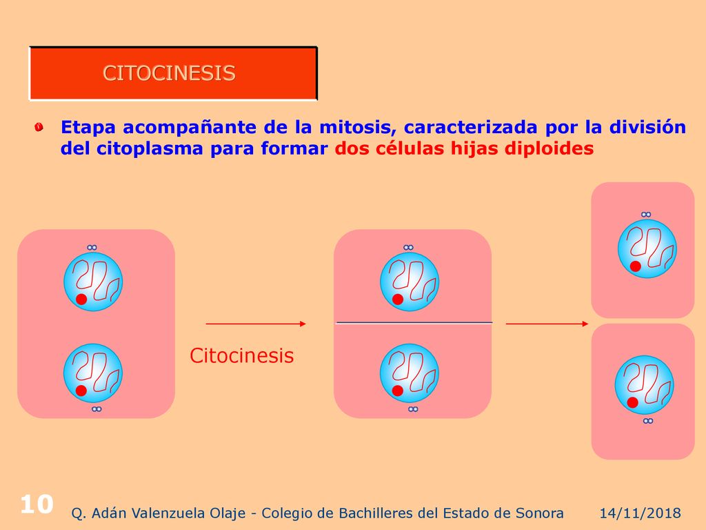 Q. Adán Valenzuela Olaje - Colegio de Bachilleres del Estado de Sonora