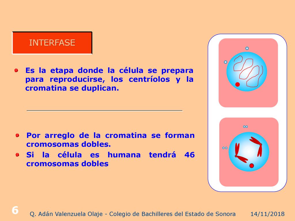 Q. Adán Valenzuela Olaje - Colegio de Bachilleres del Estado de Sonora