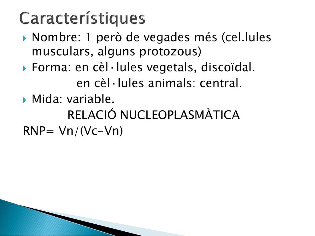 Característiques Nombre: 1 però de vegades més (cel.lules musculars, alguns protozous) Forma: en cèl·lules vegetals, discoïdal.