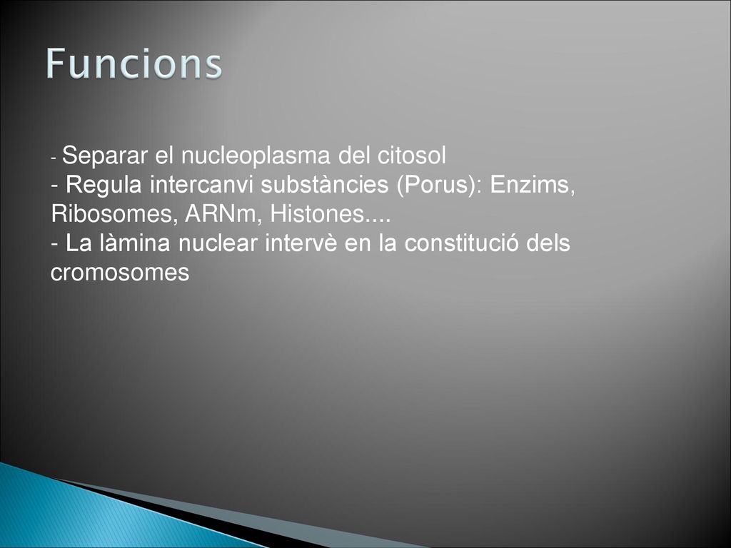 Funcions Separar el nucleoplasma del citosol. Regula intercanvi substàncies (Porus): Enzims, Ribosomes, ARNm, Histones....