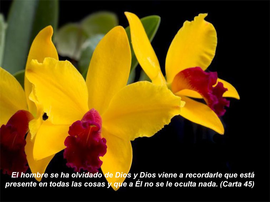 El hombre se ha olvidado de Dios y Dios viene a recordarle que está presente en todas las cosas y que a Él no se le oculta nada.