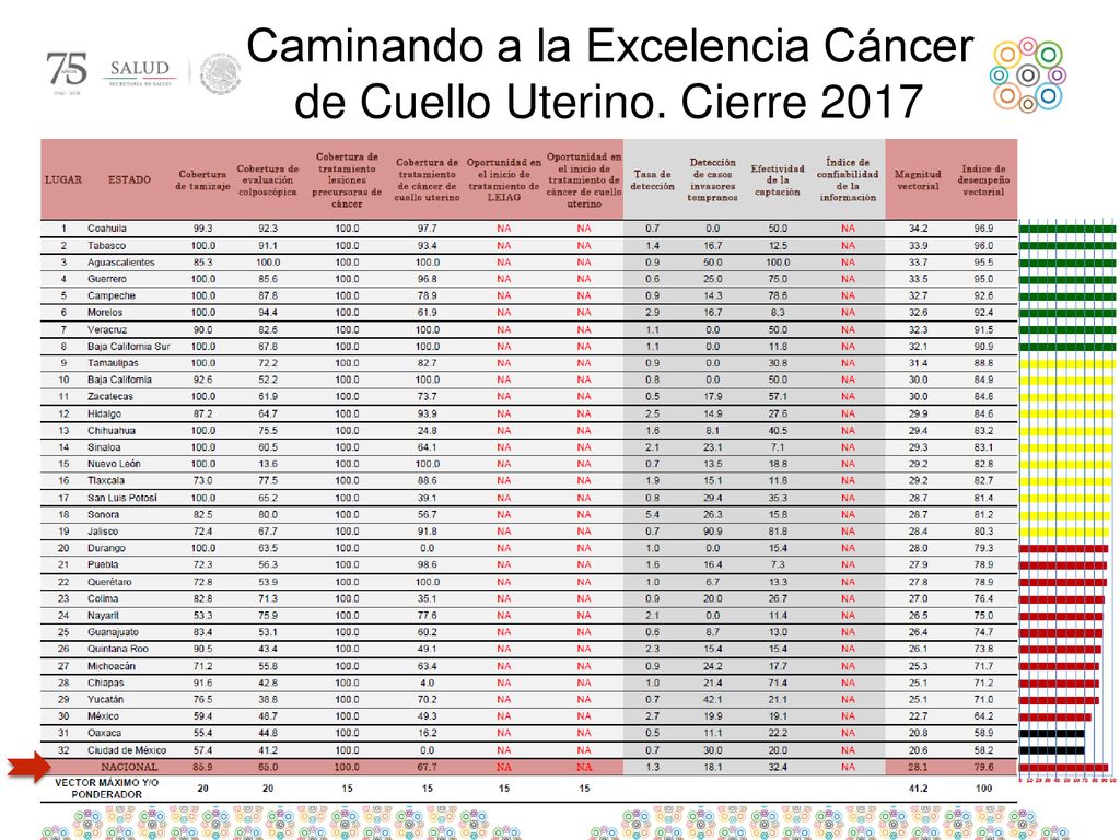 Caminando a la Excelencia Cáncer de Cuello Uterino. Cierre 2017