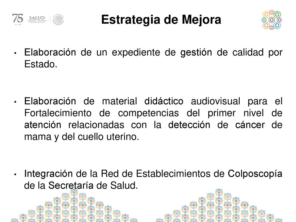 Estrategia de Mejora Elaboración de un expediente de gestión de calidad por Estado.