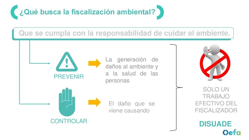 Que se cumpla con la responsabilidad de cuidar el ambiente.