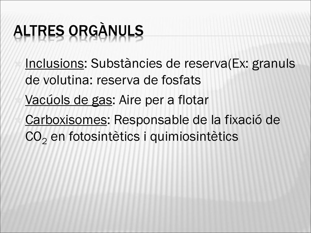 Altres orgànuls Inclusions: Substàncies de reserva(Ex: granuls de volutina: reserva de fosfats. Vacúols de gas: Aire per a flotar.