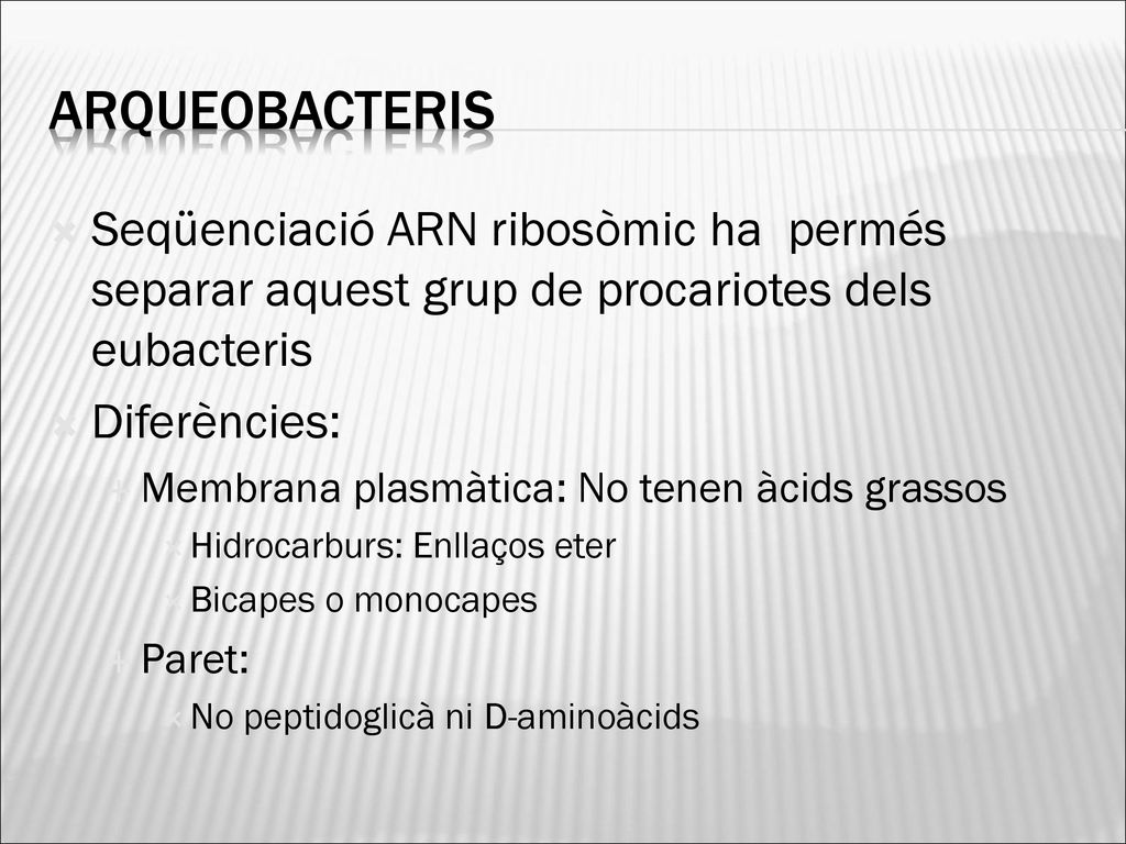 ARQUEOBACTERIS Seqüenciació ARN ribosòmic ha permés separar aquest grup de procariotes dels eubacteris.