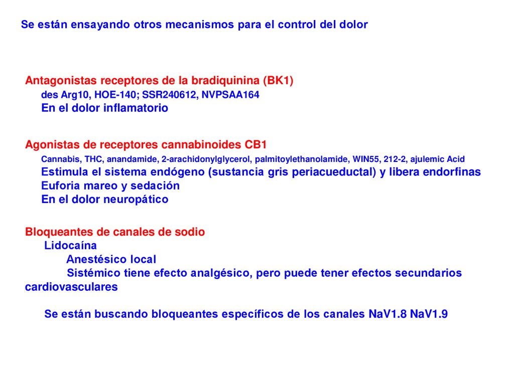Se están ensayando otros mecanismos para el control del dolor