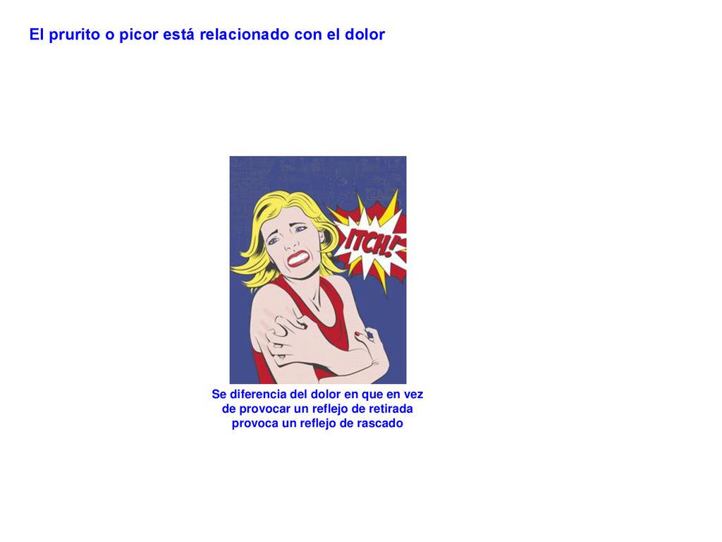 El prurito o picor está relacionado con el dolor