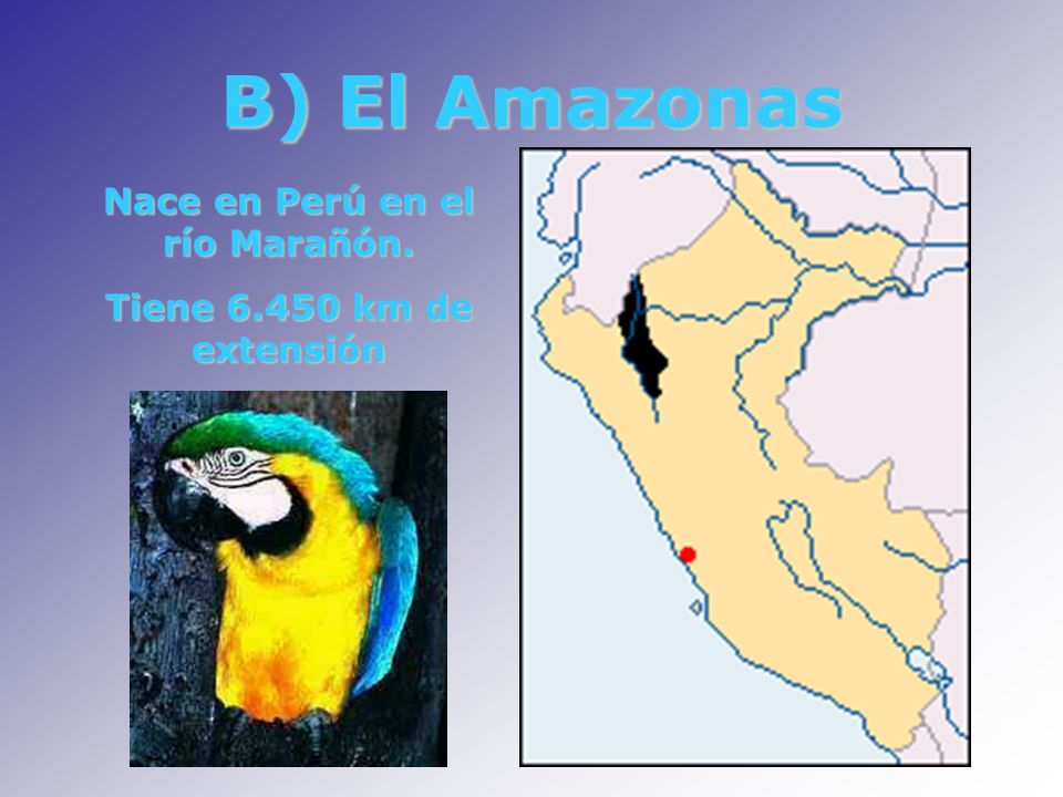 Nace en Perú en el río Marañón.