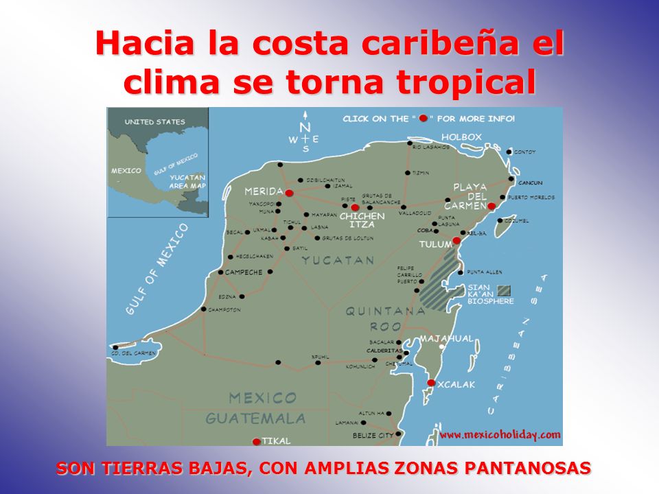 Hacia la costa caribeña el clima se torna tropical