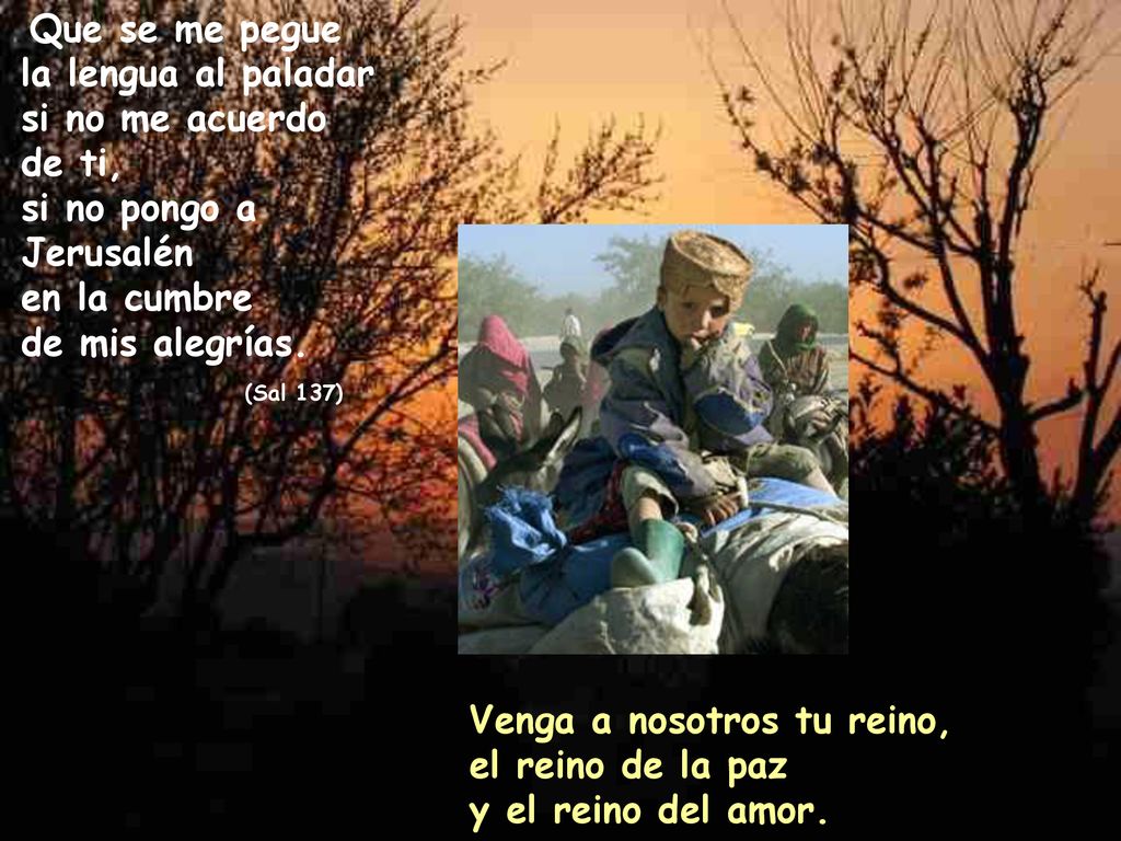 Que se me pegue la lengua al paladar si no me acuerdo de ti, si no pongo a Jerusalén en la cumbre de mis alegrías. (Sal 137)