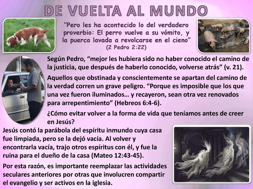 DE VUELTA AL MUNDO Pero les ha acontecido lo del verdadero proverbio: El perro vuelve a su vómito, y la puerca lavada a revolcarse en el cieno