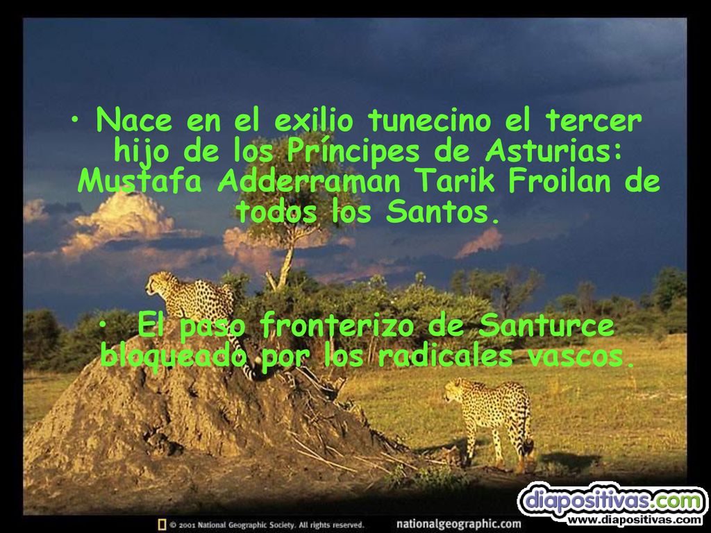 El paso fronterizo de Santurce bloqueado por los radicales vascos.