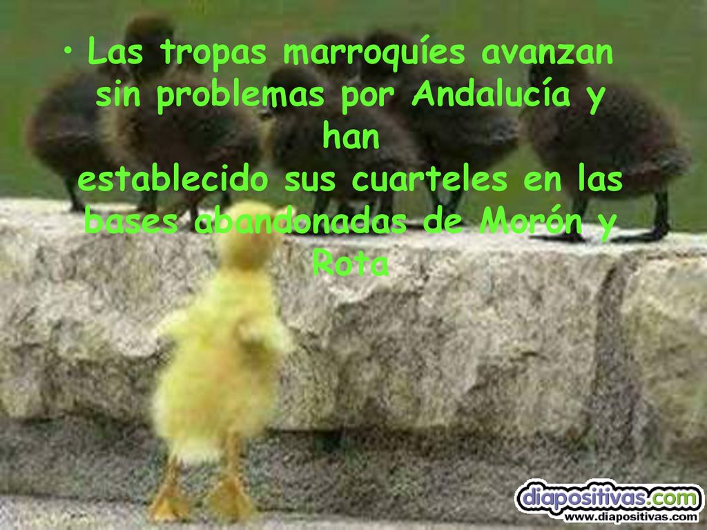 Las tropas marroquíes avanzan sin problemas por Andalucía y han establecido sus cuarteles en las bases abandonadas de Morón y Rota