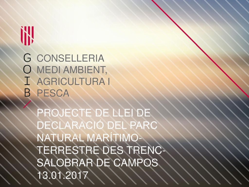 CONSELLERIA MEDI AMBIENT, AGRICULTURA I. PESCA. PROJECTE DE LLEI DE DECLARACIÓ DEL PARC NATURAL MARÍTIMO-TERRESTRE DES TRENC-SALOBRAR DE CAMPOS.