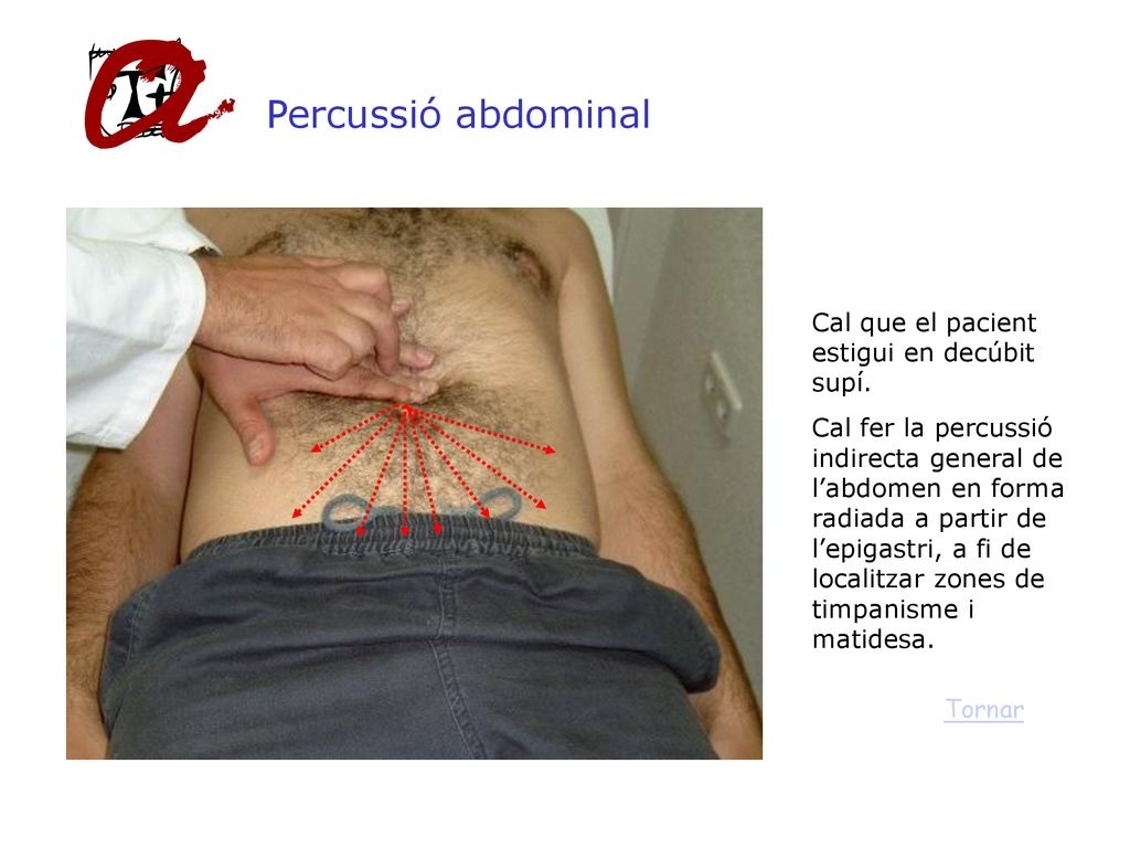Percussió abdominal Cal que el pacient estigui en decúbit supí.