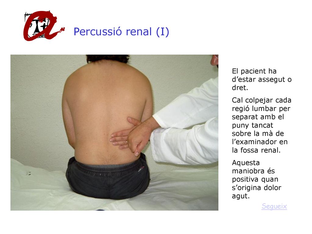 Percussió renal (I) El pacient ha d’estar assegut o dret.