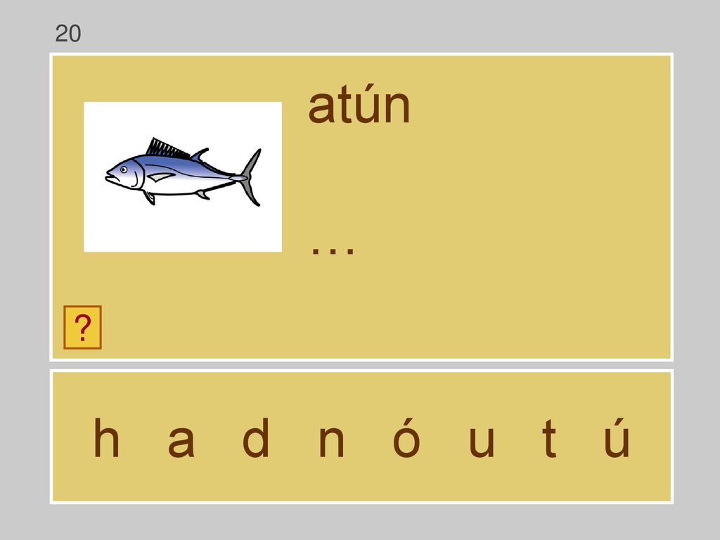20 atún … h a d n ó u t ú