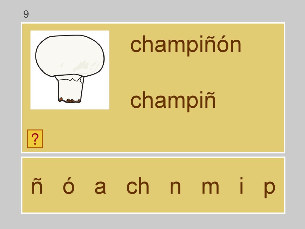 9 champiñón champiñ ñ ó a ch n m i p