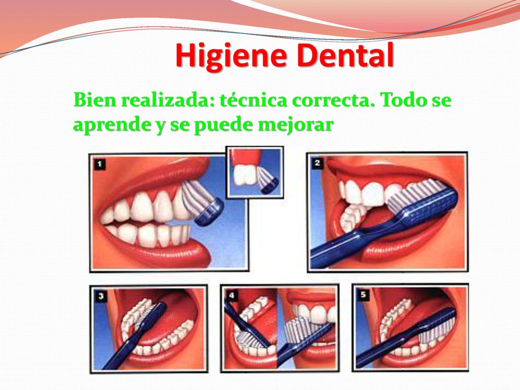 Higiene Dental Bien realizada: técnica correcta. Todo se aprende y se puede mejorar