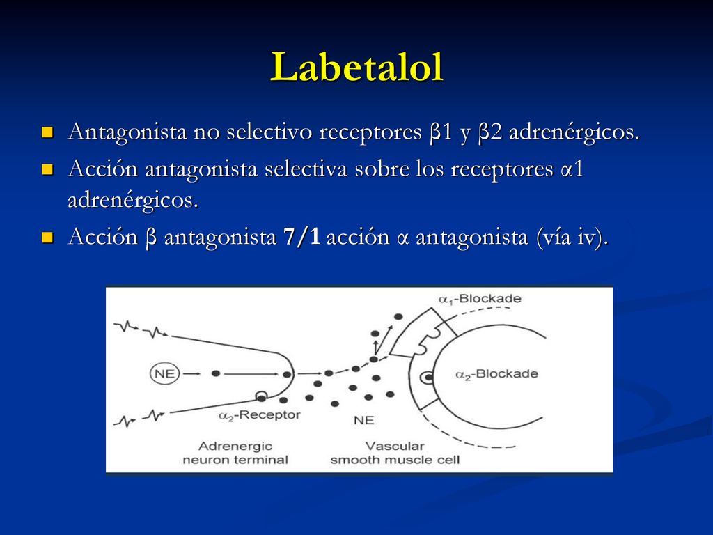 Labetalol Antagonista no selectivo receptores β1 y β2 adrenérgicos.