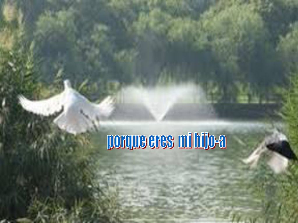 Si te resistes, no quiero que hagas nada a la fuerza.