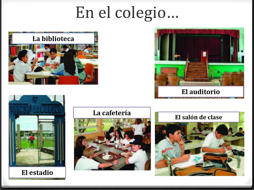 En el colegio… La biblioteca El auditorio La cafetería El estadio