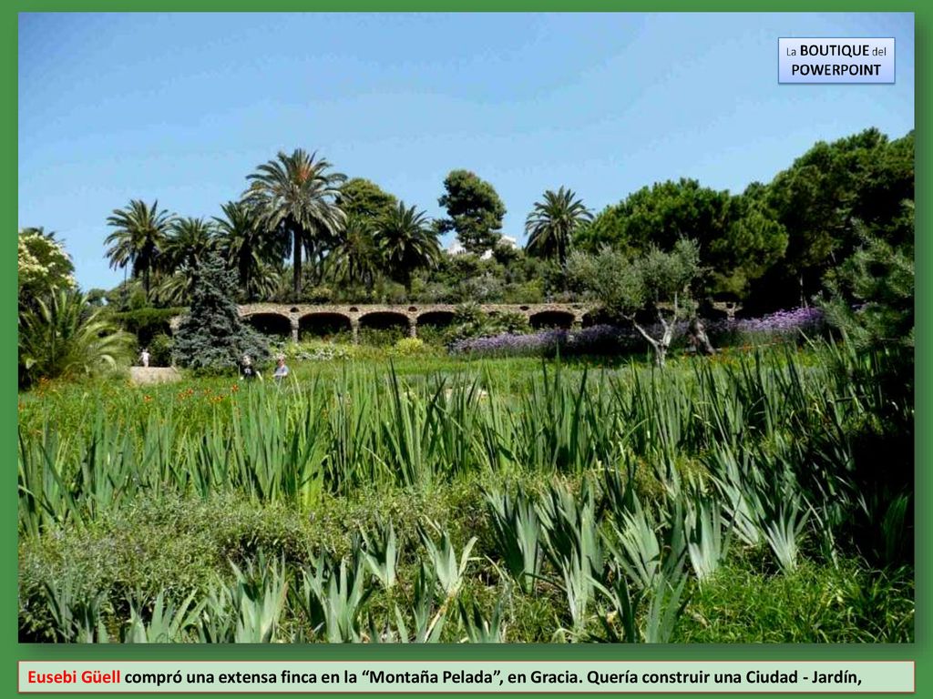 Eusebi Güell compró una extensa finca en la Montaña Pelada , en Gracia.