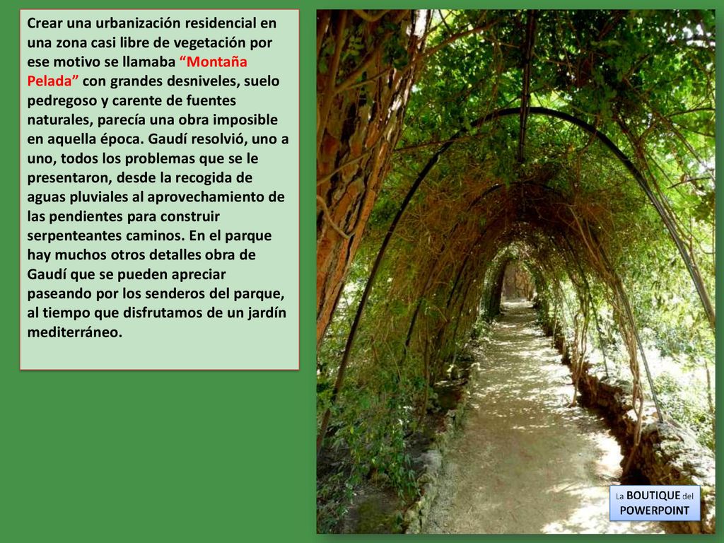 Crear una urbanización residencial en una zona casi libre de vegetación por ese motivo se llamaba Montaña Pelada con grandes desniveles, suelo pedregoso y carente de fuentes naturales, parecía una obra imposible en aquella época.