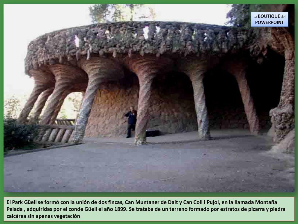 El Park Güell se formó con la unión de dos fincas, Can Muntaner de Dalt y Can Coll i Pujol, en la llamada Montaña Pelada , adquiridas por el conde Güell el año 1899.
